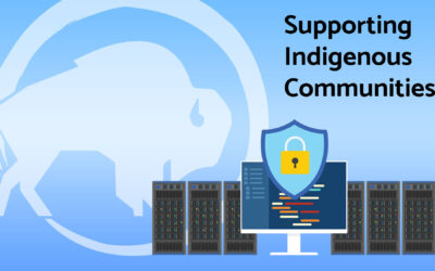 Culturally Sensitive Data Management in a Digital Age: Supporting Indigenous Communities